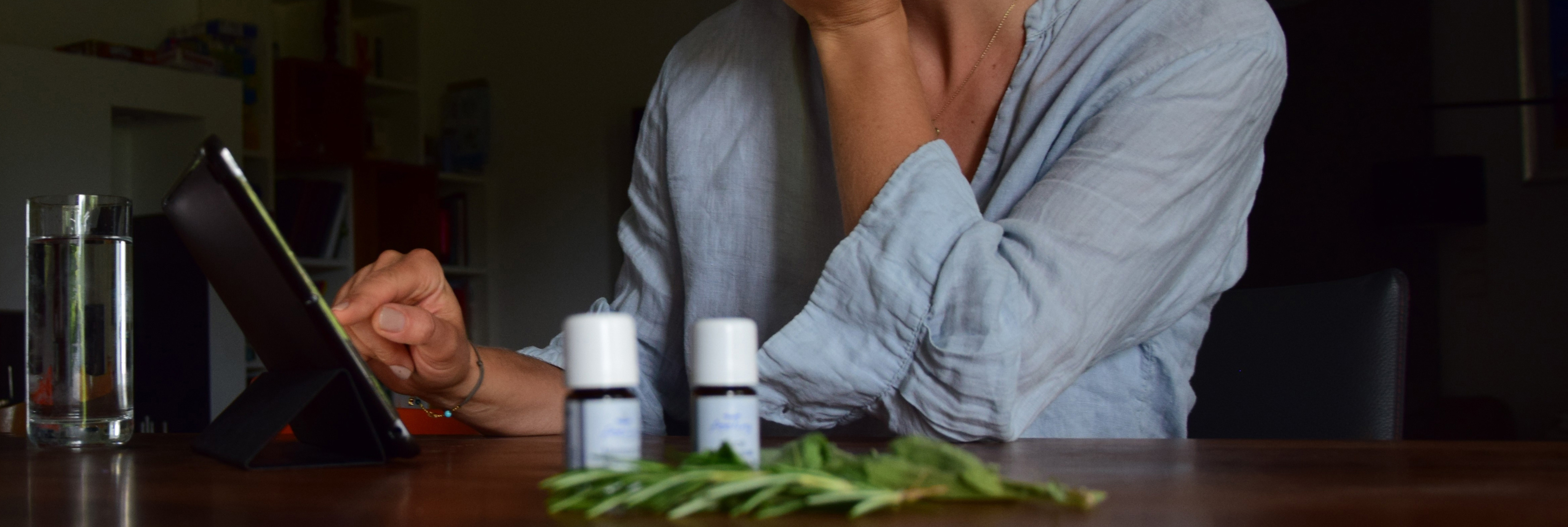 Kontaktaufnahme – Blätter und Licht